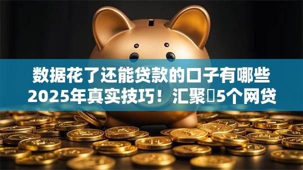 数据花了还能贷款的口子有哪些2025年真实技巧!汇聚5个网贷平台借钱还能贷款口子 数据花了还能贷款的口子有哪些2025年真实技巧!汇聚5个网贷平台借钱还能贷款口子