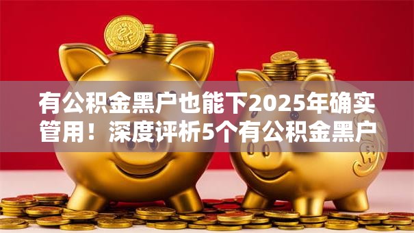 有公积金黑户也能下2025年确实管用!深度评析5个有公积金黑户也能网贷口子 有公积金黑户也能下2025年确实管用!深度评析5个有公积金黑户也能网贷口子