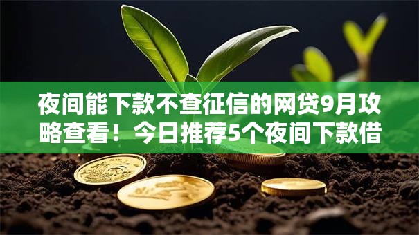 夜间能下款不查征信的网贷9月攻略查看!今日推荐5个夜间下款借钱平台不查征信 夜间能下款不查征信的网贷9月攻略查看!今日推荐5个夜间下款借钱平台不查征信