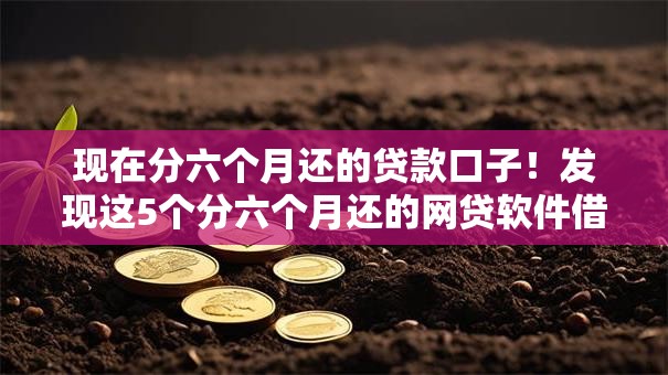 现在分六个月还的贷款口子!发现这5个分六个月还的网贷软件借款 现在分六个月还的贷款口子!发现这5个分六个月还的网贷软件借款