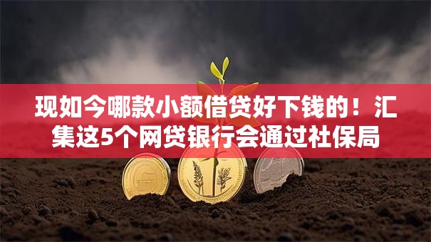 现如今哪款小额借贷好下钱的!汇集这5个网贷银行会通过社保局 现如今哪款小额借贷好下钱的!汇集这5个网贷银行会通过社保局