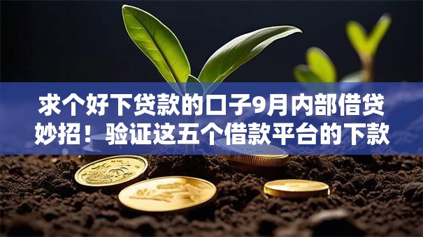 求个好下贷款的口子9月内部借贷妙招!验证这五个借款平台的下款渠道 求个好下贷款的口子9月内部借贷妙招!验证这五个借款平台的下款渠道