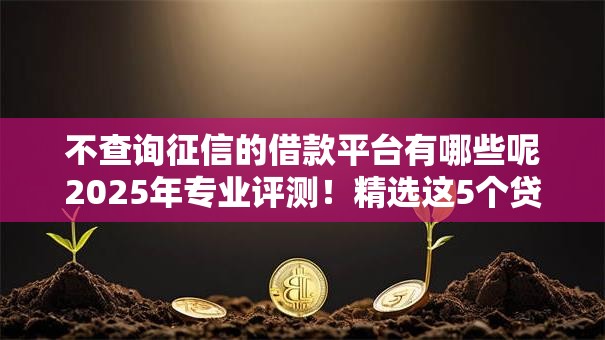 不查询征信的借款平台有哪些呢2025年专业评测!精选这5个贷款口子不查询征信的很多 不查询征信的借款平台有哪些呢2025年专业评测!精选这5个贷款口子不查询征信的很多