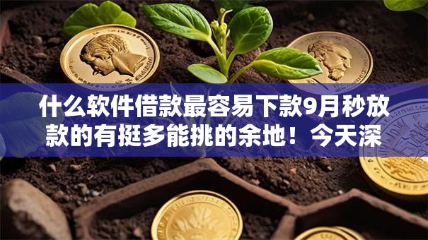 什么软件借款最容易下款9月秒放款的有挺多能挑的余地！今天深度严挑这五个黑户网贷软件！