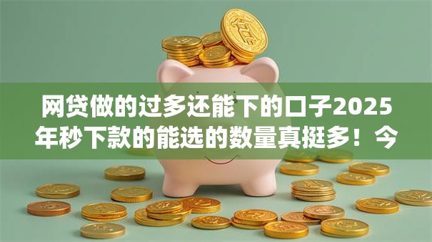 网贷做的过多还能下的口子2025年秒下款的能选的数量真挺多!今天为您深入归总这五个黑户借款app! 网贷做的过多还能下的口子2025年秒下款的能选的数量真挺多!今天为您深入归总这五个黑户借款app!