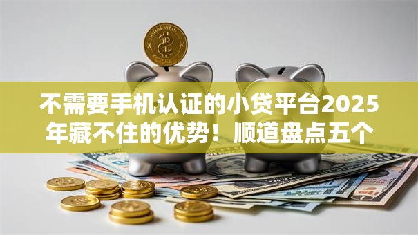 不需要手机认证的小贷平台2025年藏不住的优势！顺道盘点五个借款软件无需手机认证