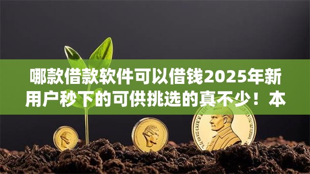 哪款借款软件可以借钱2025年新用户秒下的可供挑选的真不少！本文为您全面整合这五个黑户借钱app！