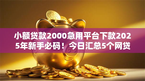 小额贷款2000急用平台下款2025年新手必码！今日汇总5个网贷2000急用口子下款借钱