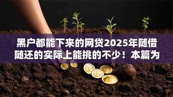 黑户都能下来的网贷2025年随借随还的实际上能挑的不少！本篇为您深入挖掘这五个网贷平台！
