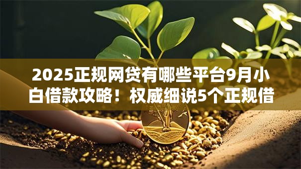 2025正规网贷有哪些平台9月小白借款攻略！权威细说5个正规借款口子有哪些软件