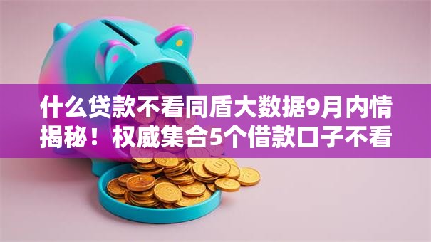 什么贷款不看同盾大数据9月内情揭秘！权威集合5个借款口子不看同盾大数据
