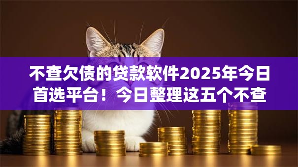 不查欠债的贷款软件2025年今日首选平台！今日整理这五个不查欠债的借钱app
