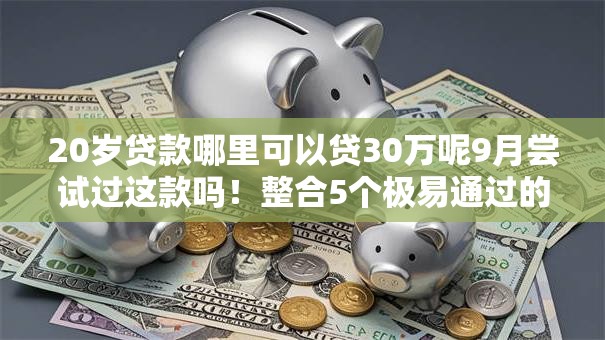 20岁贷款哪里可以贷30万呢9月尝试过这款吗！整合5个极易通过的网贷平台
