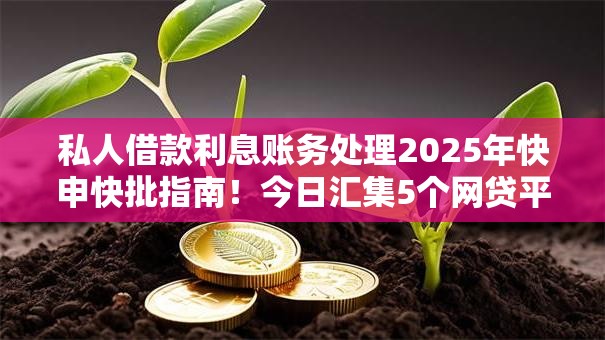 私人借款利息账务处理2025年快申快批指南!今日汇集5个网贷平台利息账务处理 私人借款利息账务处理2025年快申快批指南!今日汇集5个网贷平台利息账务处理