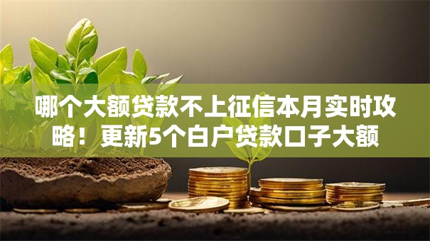 哪个大额贷款不上征信本月实时攻略！更新5个白户贷款口子大额