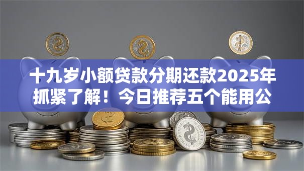十九岁小额贷款分期还款2025年抓紧了解！今日推荐五个能用公积金贷款的软件
