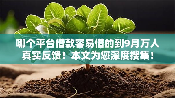 哪个平台借款容易借的到9月万人真实反馈！本文为您深度搜集！