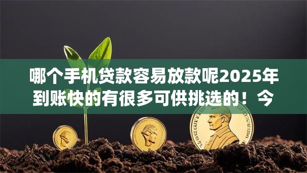 哪个手机贷款容易放款呢2025年到账快的有很多可供挑选的！今天为您探讨这五个借钱app！