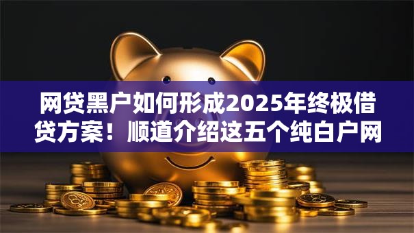 网贷黑户如何形成2025年终极借贷方案!顺道介绍这五个纯白户网贷高额口子 网贷黑户如何形成2025年终极借贷方案!顺道介绍这五个纯白户网贷高额口子