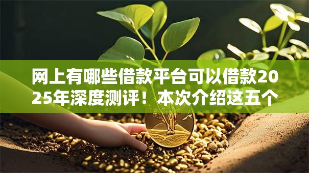 网上有哪些借款平台可以借款2025年深度测评！本次介绍这五个网贷口子可以借钱