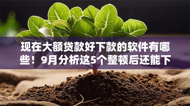 现在大额贷款好下款的软件有哪些!9月分析这5个整顿后还能下的黑户口子 现在大额贷款好下款的软件有哪些!9月分析这5个整顿后还能下的黑户口子