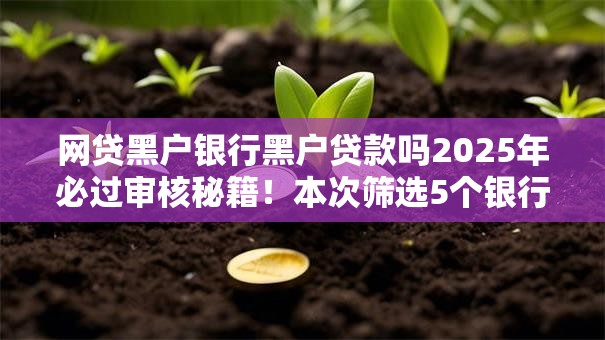 网贷黑户银行黑户贷款吗2025年必过审核秘籍！本次筛选5个银行黑户网贷口子借款难