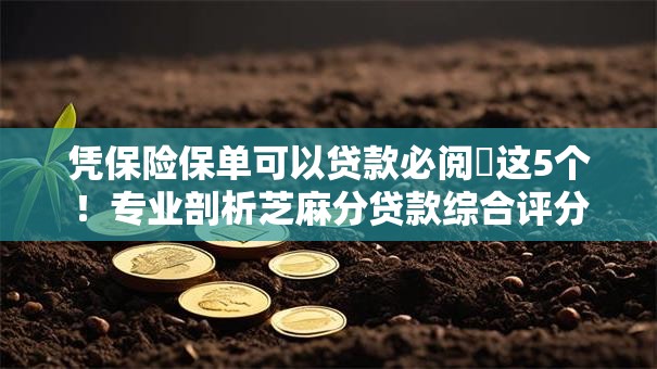 凭保险保单可以贷款必阅这5个!专业剖析芝麻分贷款综合评分 凭保险保单可以贷款必阅这5个!专业剖析芝麻分贷款综合评分