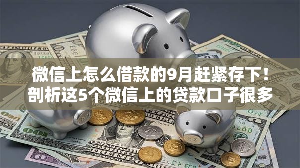 微信上怎么借款的9月赶紧存下！剖析这5个微信上的贷款口子很多