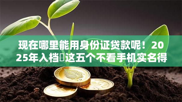 现在哪里能用身份证贷款呢!2025年入档这五个不看手机实名得网贷 现在哪里能用身份证贷款呢!2025年入档这五个不看手机实名得网贷