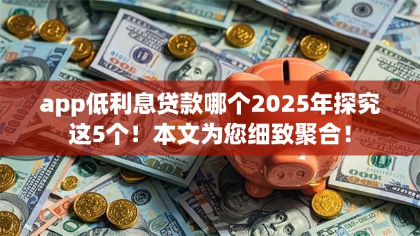 app低利息贷款哪个2025年探究这5个！本文为您细致聚合！