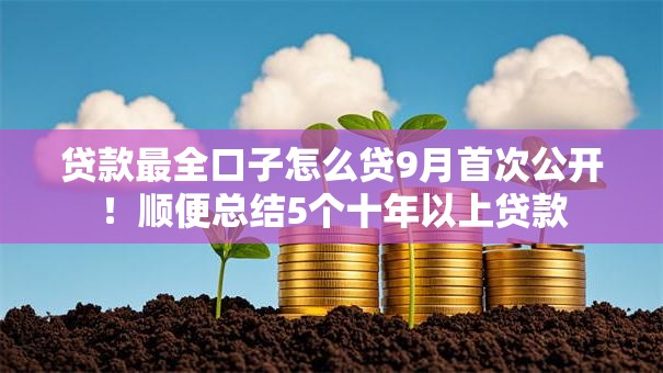 贷款最全口子怎么贷9月首次公开！顺便总结5个十年以上贷款