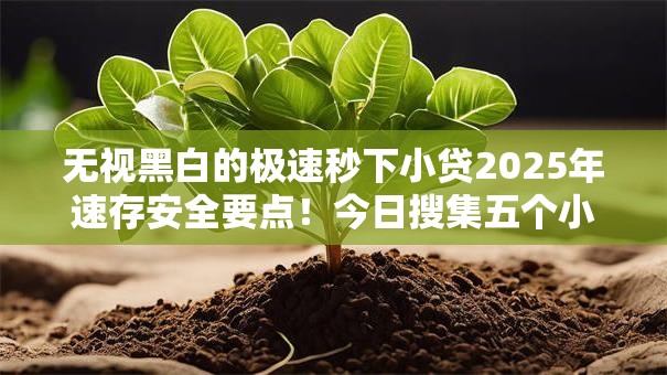 无视黑白的极速秒下小贷2025年速存安全要点!今日搜集五个小额贷款口子不查征信 无视黑白的极速秒下小贷2025年速存安全要点!今日搜集五个小额贷款口子不查征信