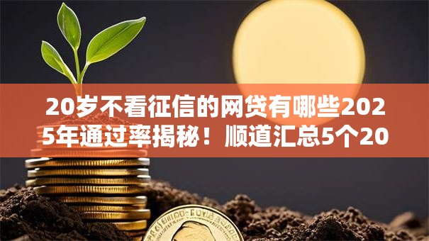 20岁不看征信的网贷有哪些2025年通过率揭秘!顺道汇总5个20岁不看征信的借钱口子 20岁不看征信的网贷有哪些2025年通过率揭秘!顺道汇总5个20岁不看征信的借钱口子