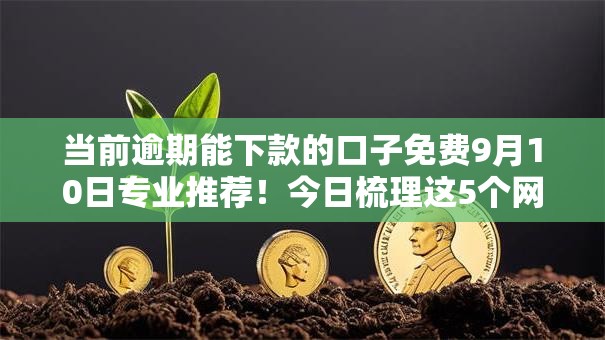 当前逾期能下款的口子免费9月10日专业推荐！今日梳理这5个网贷上征信会黑户