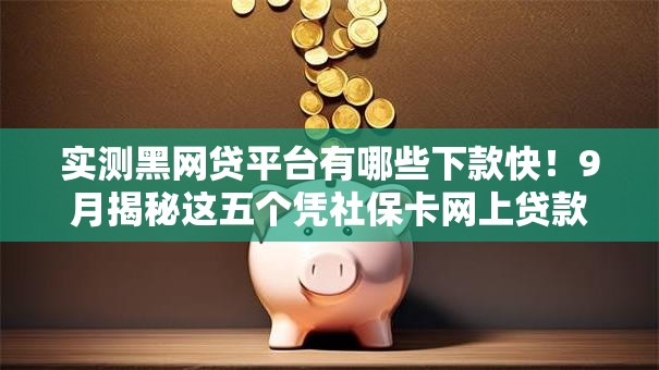实测黑网贷平台有哪些下款快！9月揭秘这五个凭社保卡网上贷款