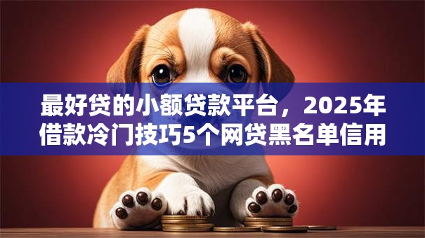 最好贷的小额贷款平台，2025年借款冷门技巧5个网贷黑名单信用报告查询