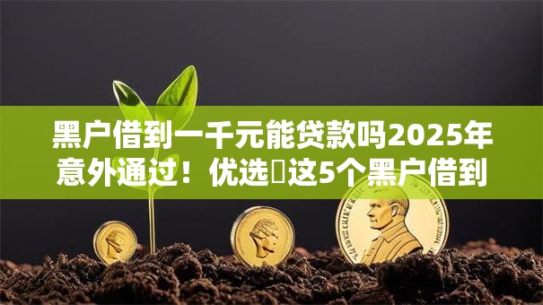 黑户借到一千元能贷款吗2025年意外通过！优选​这5个黑户借到网贷口子能借钱