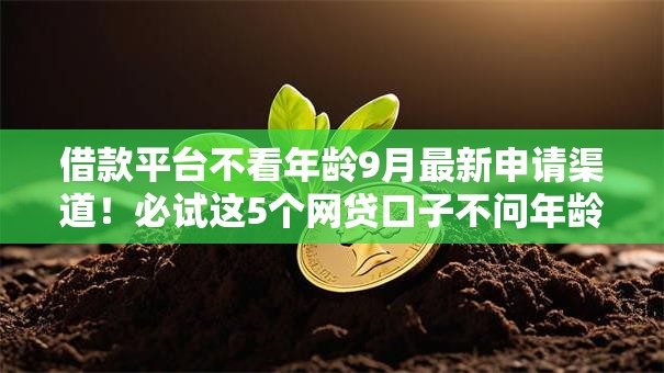 借款平台不看年龄9月最新申请渠道!必试这5个网贷口子不问年龄 借款平台不看年龄9月最新申请渠道!必试这5个网贷口子不问年龄