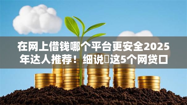 在网上借钱哪个平台更安全2025年达人推荐！细说​这5个网贷口子借款软件更安全