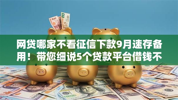 网贷哪家不看征信下款9月速存备用!带您细说5个贷款平台借钱不看征信下款 网贷哪家不看征信下款9月速存备用!带您细说5个贷款平台借钱不看征信下款