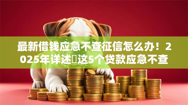 最新借钱应急不查征信怎么办!2025年详述这5个贷款应急不查征信的口子 最新借钱应急不查征信怎么办!2025年详述这5个贷款应急不查征信的口子