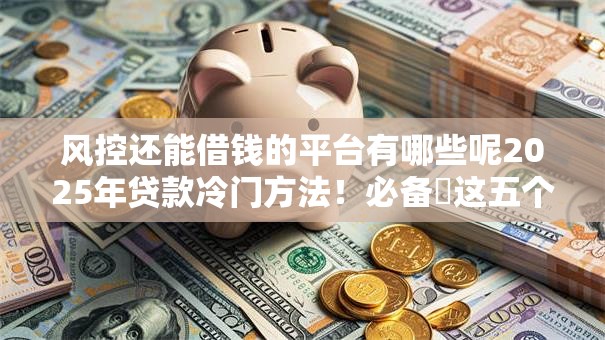风控还能借钱的平台有哪些呢2025年贷款冷门方法！必备​这五个网贷口子还能贷款软件