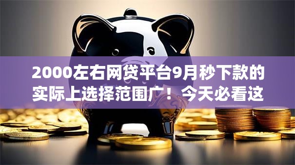 2000左右网贷平台9月秒下款的实际上选择范围广！今天必看这五个贷款app！