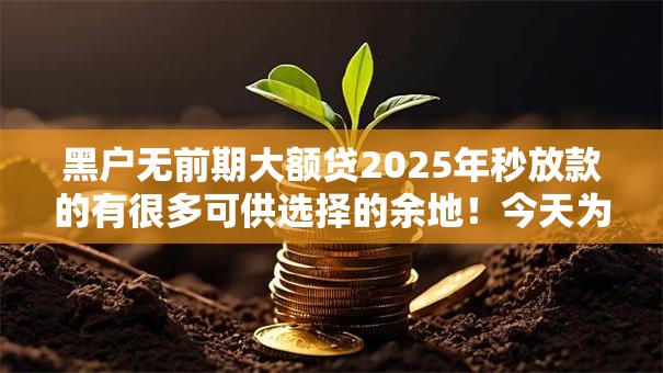 黑户无前期大额贷2025年秒放款的有很多可供选择的余地！今天为您深度分析这五个借款口子！