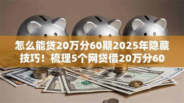 怎么能贷20万分60期2025年隐藏技巧！梳理5个网贷借20万分60期