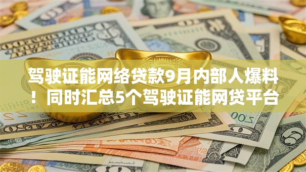 驾驶证能网络贷款9月内部人爆料!同时汇总5个驾驶证能网贷平台借钱 驾驶证能网络贷款9月内部人爆料!同时汇总5个驾驶证能网贷平台借钱
