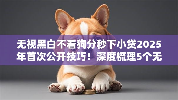 无视黑白不看狗分秒下小贷2025年首次公开技巧!深度梳理5个无视黑白借钱口子分秒下网贷 无视黑白不看狗分秒下小贷2025年首次公开技巧!深度梳理5个无视黑白借钱口子分秒下网贷