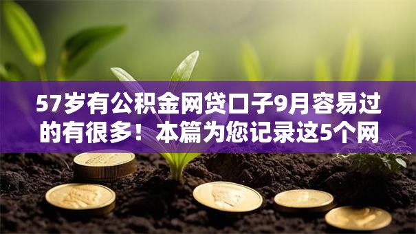 57岁有公积金网贷口子9月容易过的有很多！本篇为您记录这5个网贷软件！