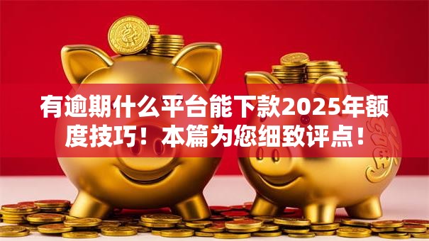 有逾期什么平台能下款2025年额度技巧！本篇为您细致评点！