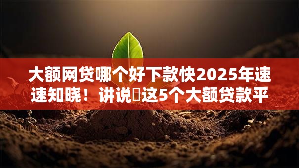 大额网贷哪个好下款快2025年速速知晓!讲说这5个大额贷款平台下款很快 大额网贷哪个好下款快2025年速速知晓!讲说这5个大额贷款平台下款很快